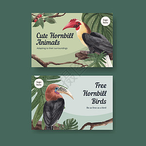 带有角标鸟概念 水彩色风格的Facebook模板野生动物丛林生物热带插图动物社交节日营销生活图片