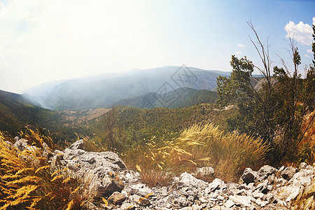 夏季风景植物山脉全景公园晴天日落旅行场地农村森林图片