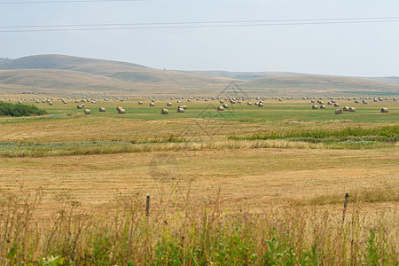 夏季风景农村收成植物季节小麦稻草天空土地生长金子图片