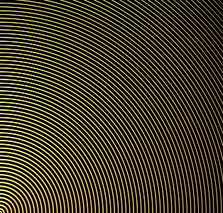 抽象的金色圆圈矢量背景 现代图形模板 圆圈去中心 单色图形几何学墙纸条纹漩涡黑色技术白色圆形运动艺术图片