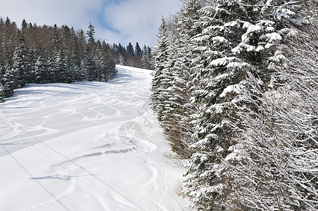 在美丽的阳光明媚的冬日 滑雪斜坡上的脚印全景小路运动蓝色越野痕迹滑雪板探险家季节娱乐图片