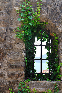 窗口旧设备石头网格植物木头建筑蓝色房子石工窗扇植物群图片