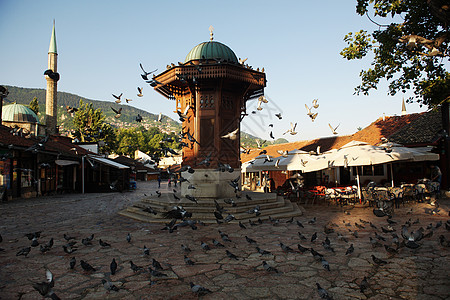 巴拉耶沃市位于波斯尼亚石头建筑鸽子纪念碑历史性正方形景观店铺首都咖啡店图片