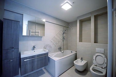 时尚厕所室内风格奢华洗澡房子房间别墅卫生内阁地面镜子图片
