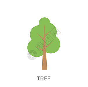 平树 ico植物学松树生长风格橡木树干森林花园装饰卡通片图片