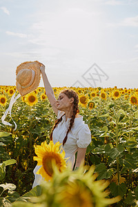 身着白裙子 戴着帽子在向日葵田中的女子夏日图片