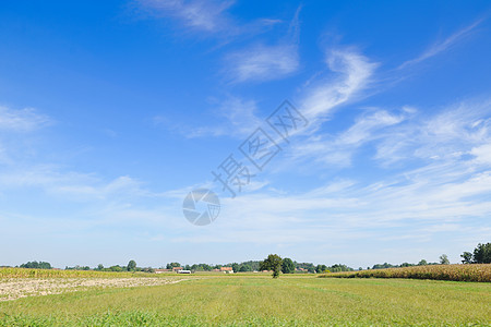 国家气候自然景观爬坡晴天蓝色牧场场地环境农业森林土地地平线图片