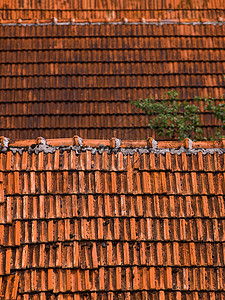 旧屋顶牌平铺黏土房子制品建筑住宅建筑学橙子木头瓷砖图片