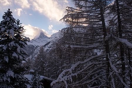 泽尔马特斯维兹兰晴天风景日落高山顶峰森林冰川旅游远足滑雪图片