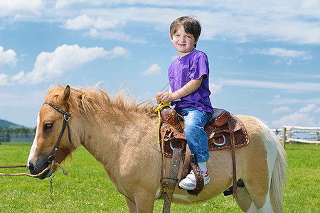 儿童骑小马娱乐骑师农场女性农村女士女孩动物马术国家图片