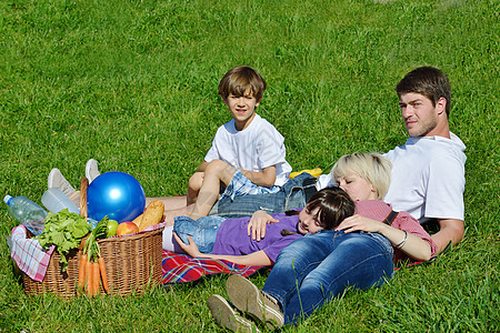 幸福的家庭在野外野餐中一起玩假期成人父亲男性童年孩子孩子们公园父母女士图片