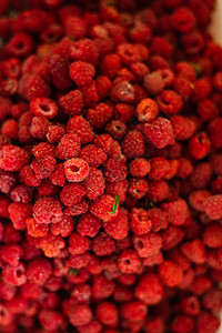 许多明亮的草莓 背景 明信片照片果味浆果甜点覆盆子红色水果饮食营养季节团体图片