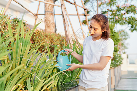 美丽的亚洲女孩给植物浇水紫色衬衫花园绿色金属女士后院晴天塑料喷壶图片