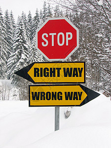 自然界的正确和错误道路标志图片