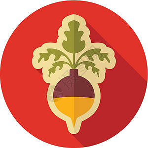 Rutabaga 或 Swede 平面图标 蔬菜根矢量烹饪插图食谱饮食植物食物图片