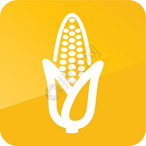 Corn 大纲图标 蔬菜矢量营养棒子粮食玉米芯爆米花食物插图绿色玉米收成图片