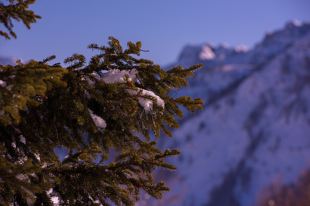 冬季日出山脉蓝色太阳季节射线旅行滑雪天空日落森林图片