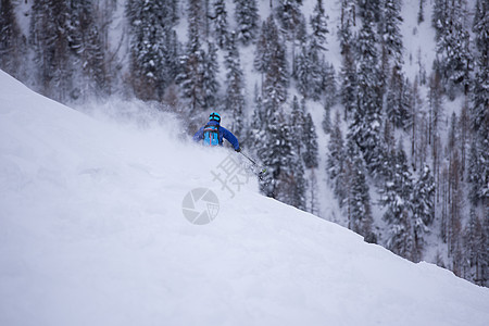 自由式滑雪者滑雪下坡闲暇男性运动蓝色粉末假期高山速度竞赛冻结图片