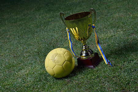 足球杯胜利享受国家荣誉运动金子杯子场地团队行动图片