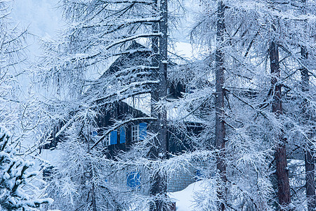 隐藏在树木后面的村庄住房风景旅行场景天空季节小屋建筑降雪建筑学国家图片