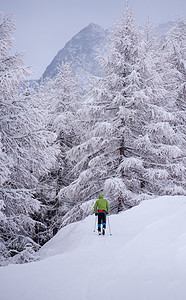 享受跨国家滑雪的男子成人滑雪者农村冷冻跑步森林男性娱乐天空运动图片