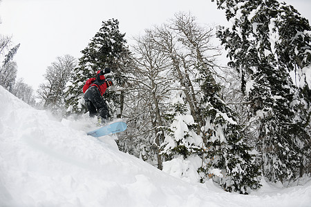 雪车在新鲜深雪上滑雪板冻结滑雪行动衣服高山男人运动假期蓝色图片