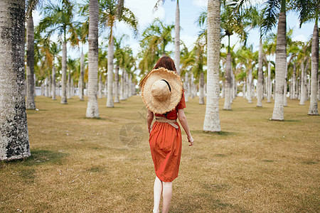 岛上妇女步行旅行的异国生活方式晴天帽子公园热带丛林旅游森林水果植被树木图片