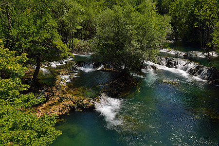 瀑瀑天堂运动植物环境木头叶子流动风景公园溪流石头图片