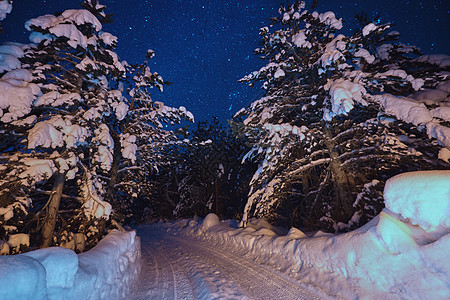 自然林天然林场景仙境星群冻结星星森林星系月光旅行季节图片