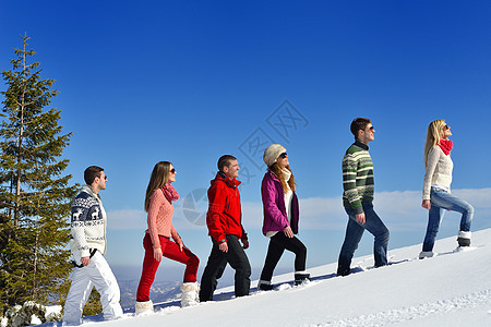 朋友在冬天的清雪上玩得开心快乐成人蓝色男孩们旅行季节娱乐滑雪女性太阳图片