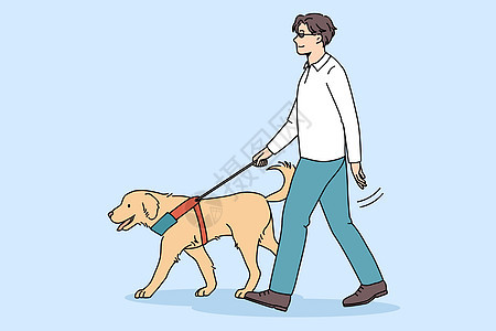 受过训练的导盲犬帮助盲人图片