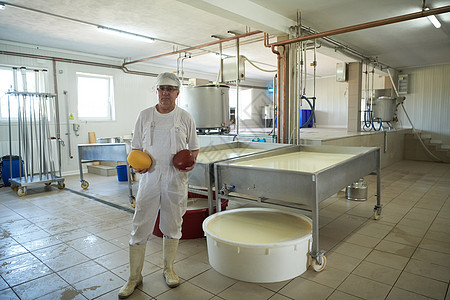 在工厂中工作的奶酪制乳酪制造厂牛奶制作者技术奶制品农业车轮奶牛商业生产食物图片