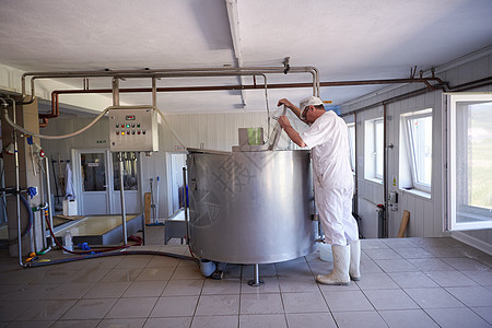 在工厂中工作的奶酪制乳酪制造厂仓库牛奶工人金属制造业农民山羊奶制品技术生产图片