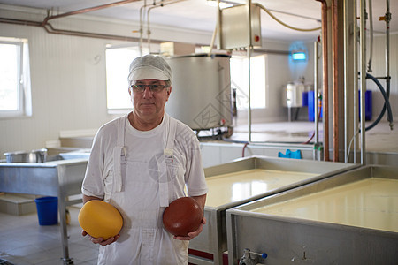 在工厂中工作的奶酪制乳酪制造厂生产制造业奶制品男人库存工匠制作者食物奶牛车轮图片