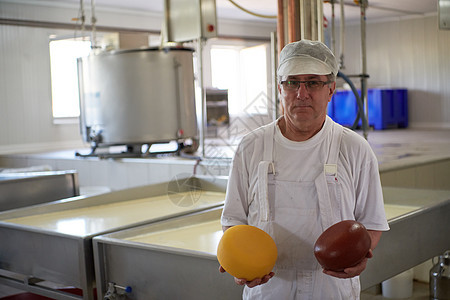 在工厂中工作的奶酪制乳酪制造厂车轮农民生产工人男人仓库食物牛奶制作者技术图片