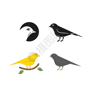 加瓦鸟鸟图标矢量说明概念设计鸟类绘画标识荒野蜂鸟艺术异国翅膀野生动物宠物图片