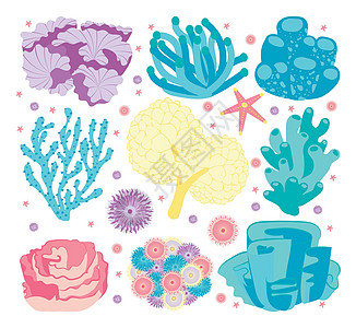 一系列珊瑚以糊状的颜色 紫色 黄色 绿宝石 蓝色图片