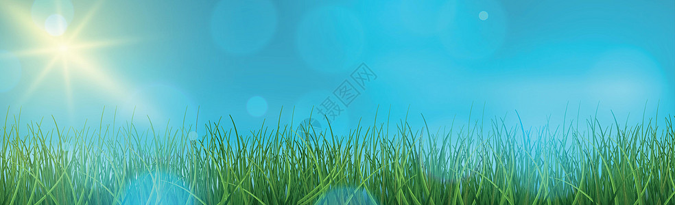 蓝天空背景的景观绿草bokeh  矢量晴天环境植物场地花园天空叶子季节插图蓝色图片