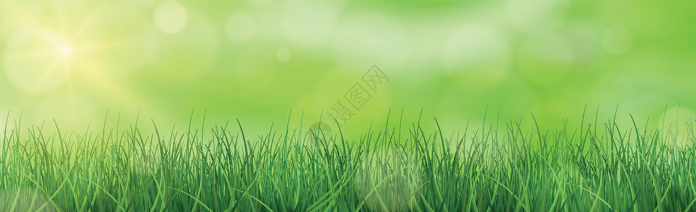阳光照耀的绿草 向量蓝色晴天场地插图射线植物环境生态天空季节图片