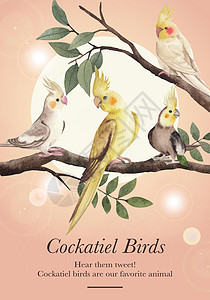 配有公鸡鸟概念 水彩色风格的海报牌模板插图水彩动物鹦鹉营销广告羽毛裙子小册子农场图片