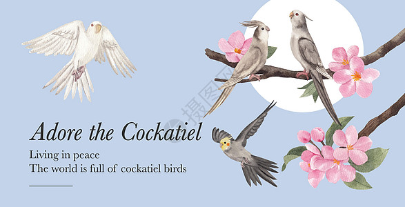 广告牌模板 带有公鸡鸟概念 水彩色风格宠物插图广告营销动物水彩羽毛裙子农场兜帽图片