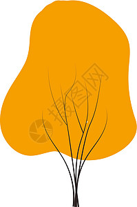 任何季节的冬季 春季 夏季和秋天 都可使用橙色秋树涂鸦矢量森林植物叶子桦木桤木花园插图生态草图橙子图片