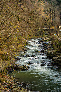 Borjomi 配有矿泉水的城市度假村旅行电缆地标瀑布索道旅游流动公园喷泉城市图片