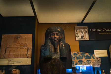 自然史史史史密森尼的博物馆木乃伊历史石棺背景图片