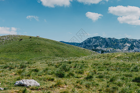 日出时的山谷 自然的夏季景观 山峰绿色自然风光 绿山景观山脉森林荒野季节旅行冰川远足高山全景假期图片