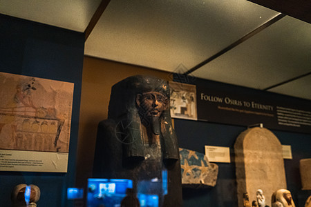 自然博物馆自然史史史史密森尼的石棺木乃伊博物馆历史背景