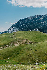 日出时的山谷 自然的夏季景观 山峰绿色自然风光 绿山景观顶峰蓝色森林高山首脑生态山脉风景踪迹冒险图片