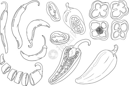 辣椒 手绘彩色矢量插图 在白色背景上隔离 辣椒图标 彩页香料团体辣椒素蔬菜宏观美食绘画胡椒寒冷食物图片