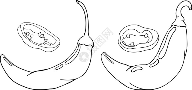 辣椒 手绘彩色矢量插图 在白色背景上隔离 辣椒图标 彩页寒冷食物绘画香料美食胡椒团体蔬菜辣椒素宏观图片