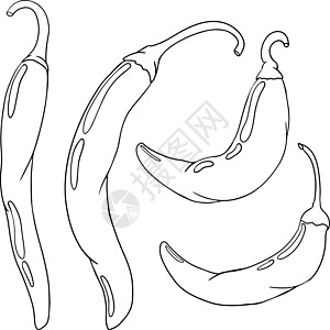辣椒 手绘彩色矢量插图 在白色背景上隔离 辣椒图标 彩页胡椒寒冷食物绘画美食蔬菜辣椒素宏观香料团体图片